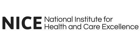nice logo